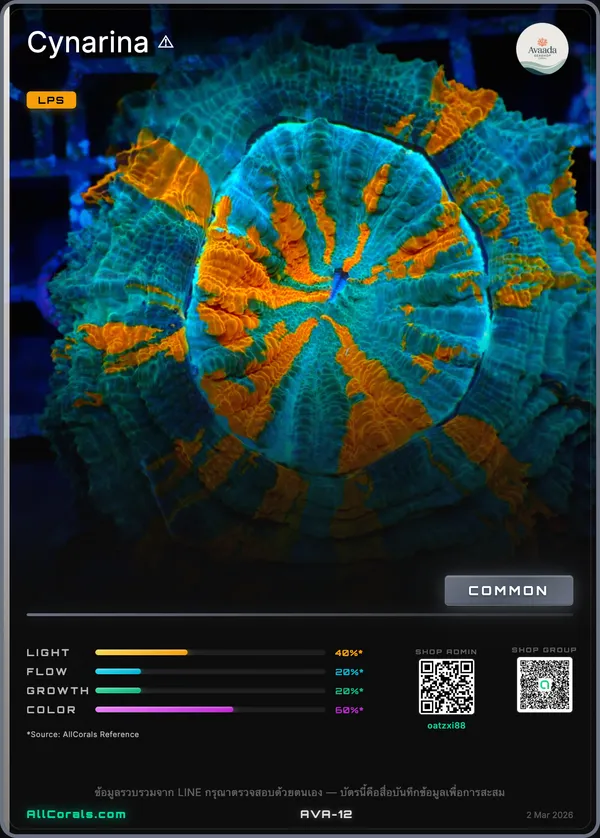 Donut Coral trading card