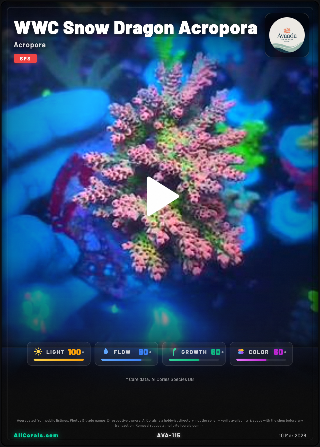 WWC Snow Dragon Acropora trading card