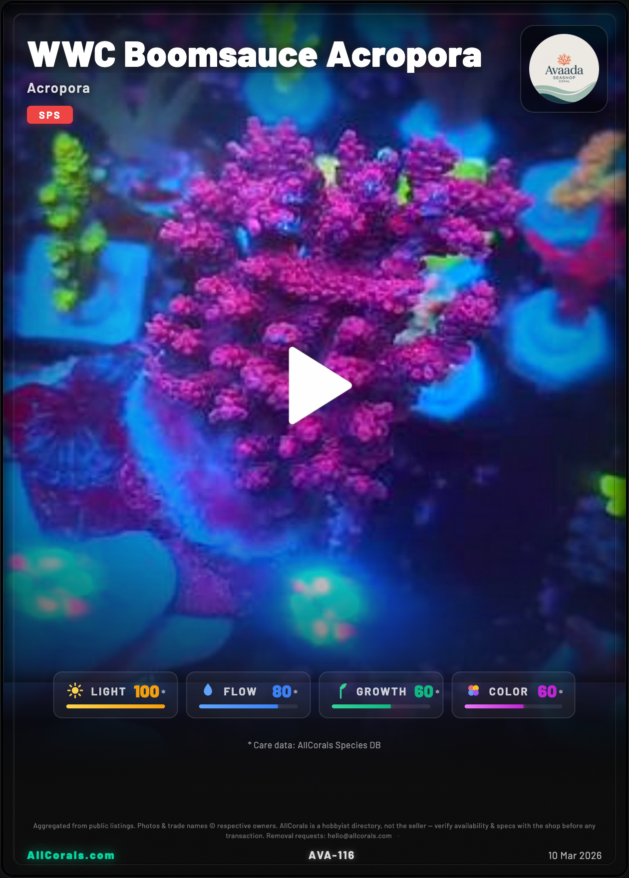WWC Boomsauce Acropora trading card