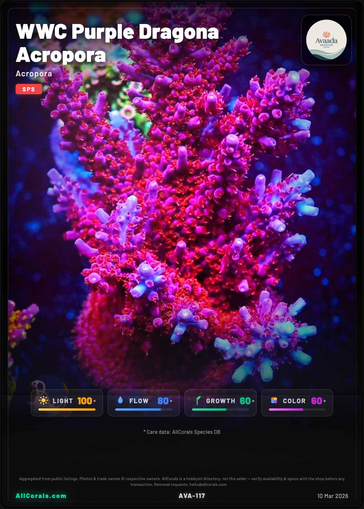 WWC Purple Dragona Acropora trading card