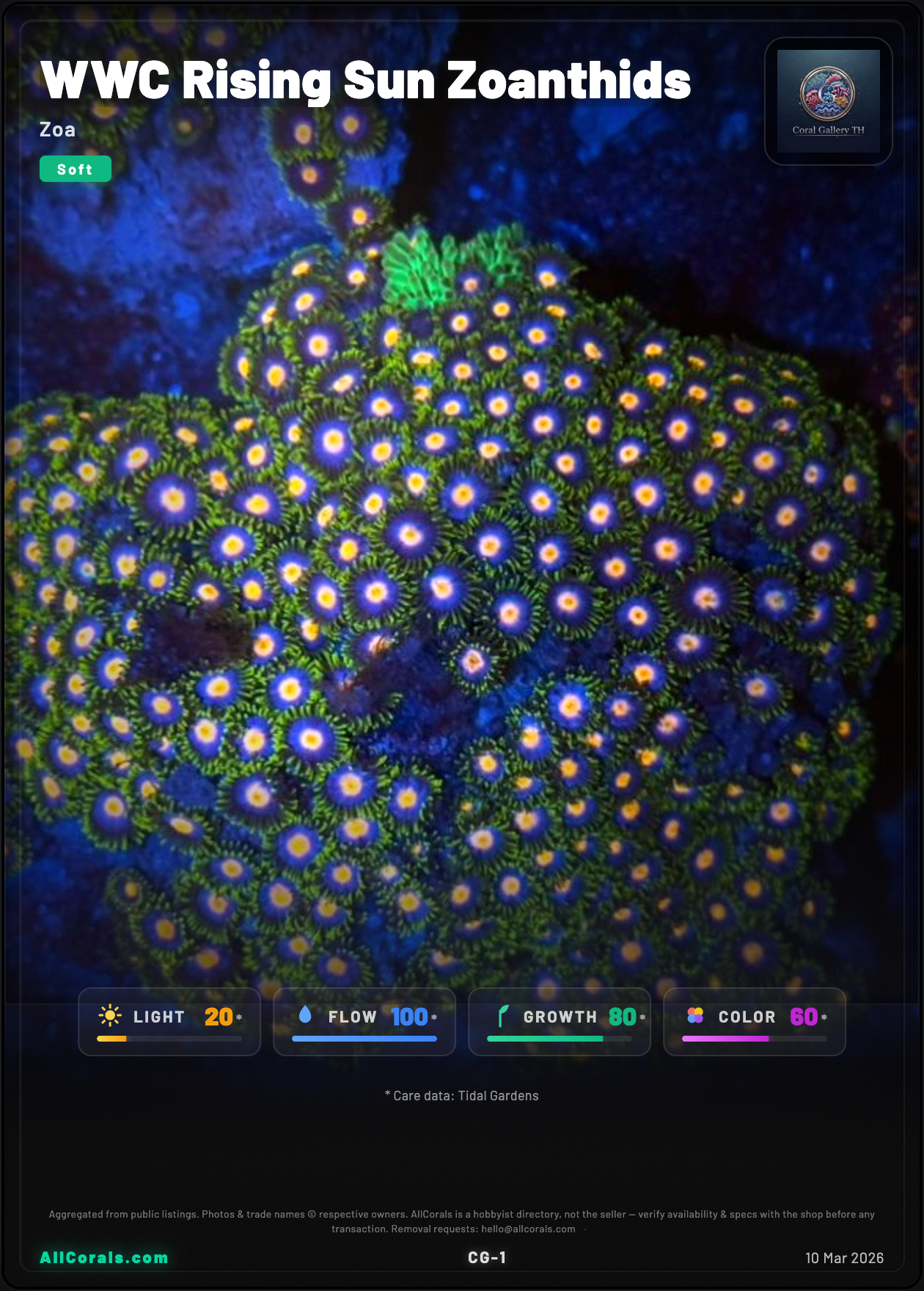 WWC Rising Sun Zoanthids trading card