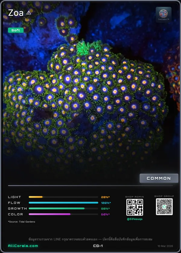 WWC Rising Sun Zoanthids trading card
