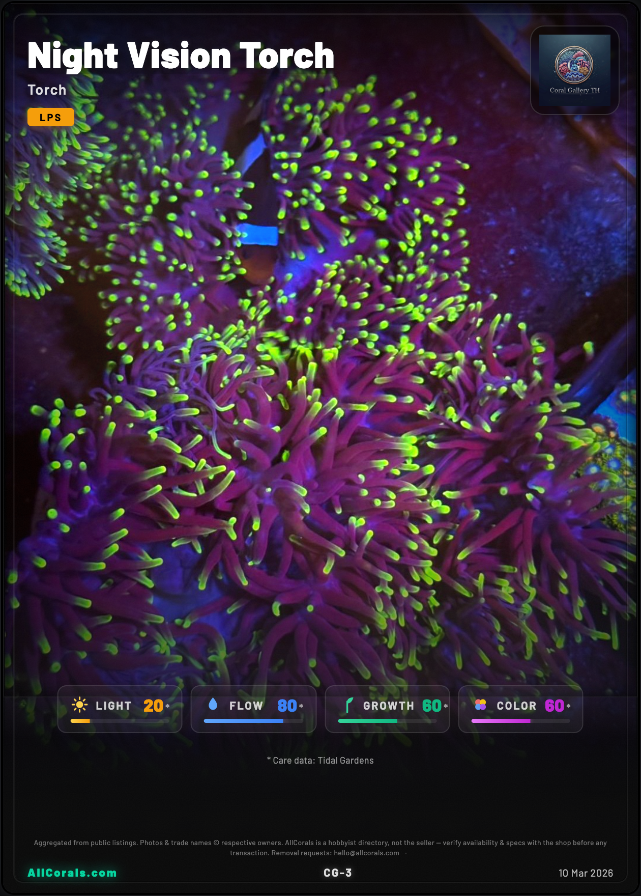 Night Vision Torch trading card