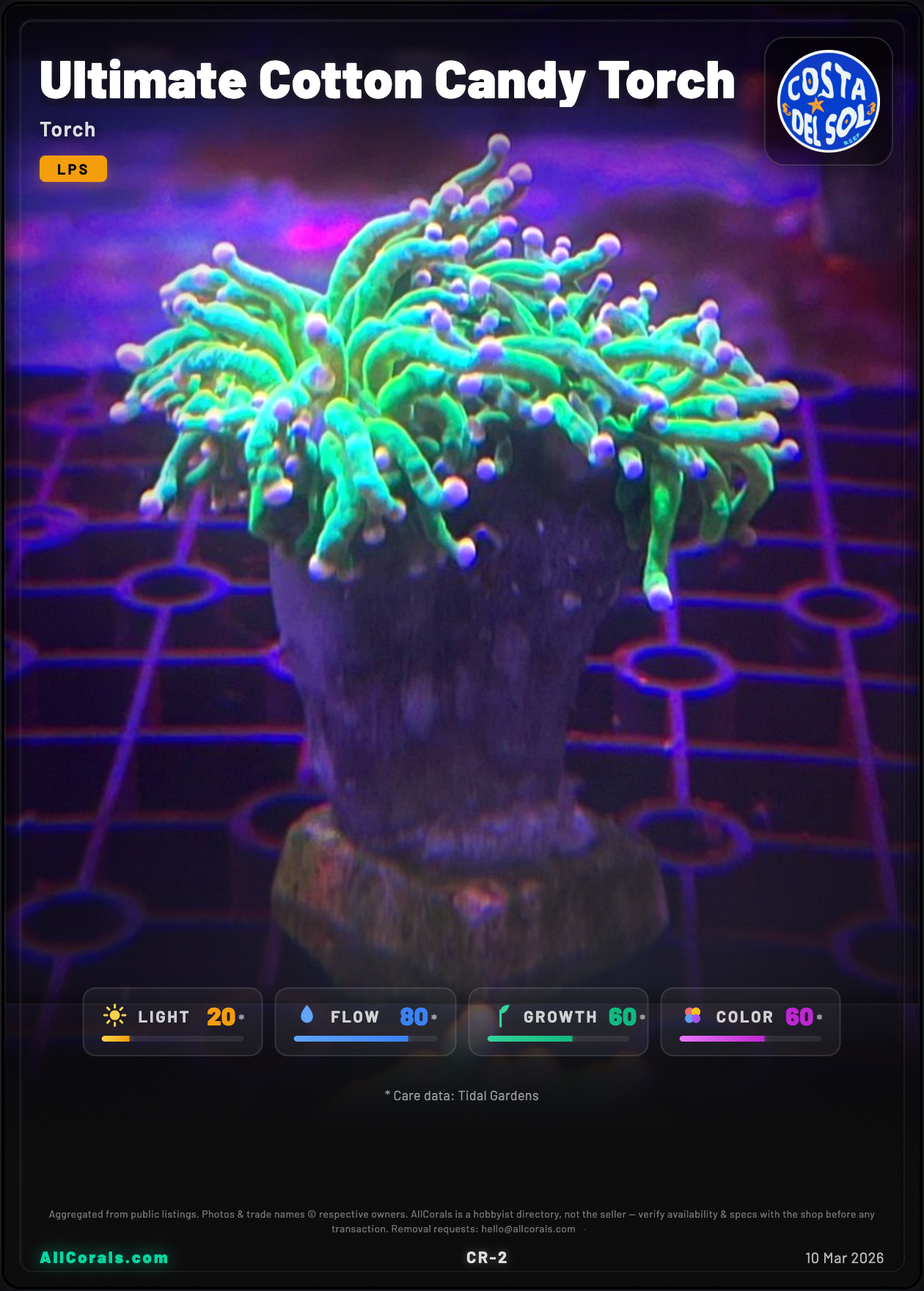 Ultimate Cotton Candy Torch trading card