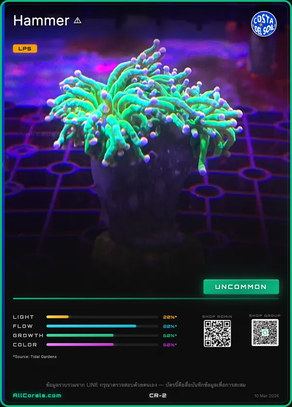 Ultimate Cotton Candy Torch trading card