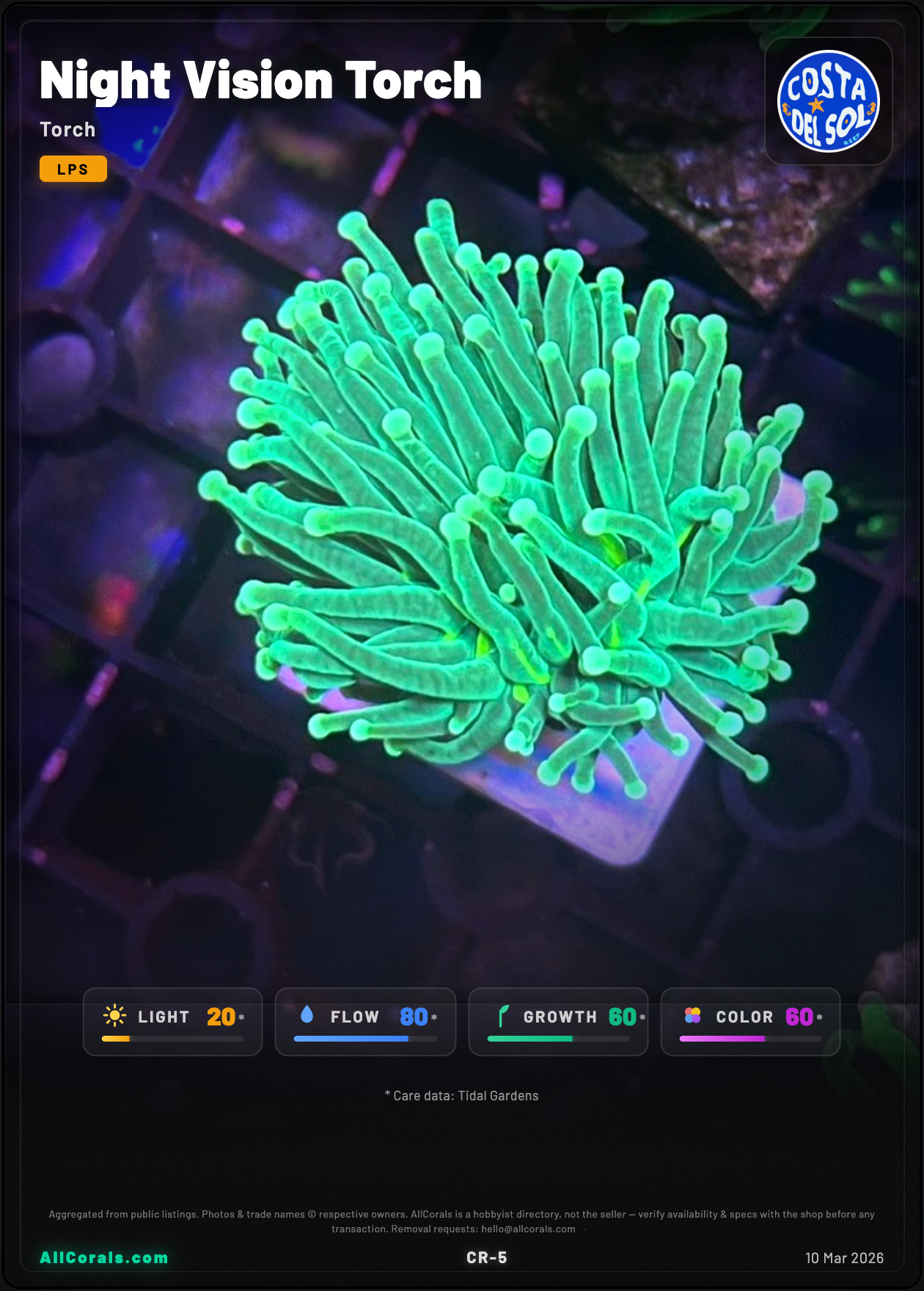Night Vision Torch trading card