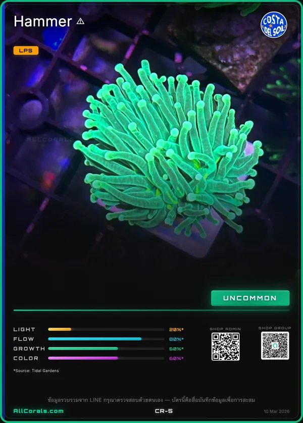Night Vision Torch trading card