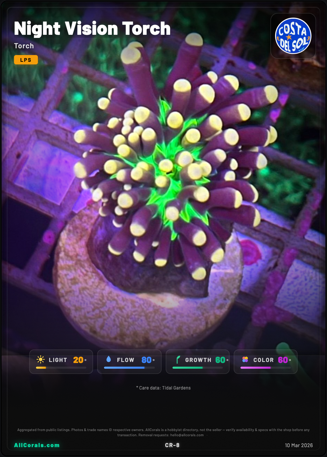 Night Vision Torch trading card