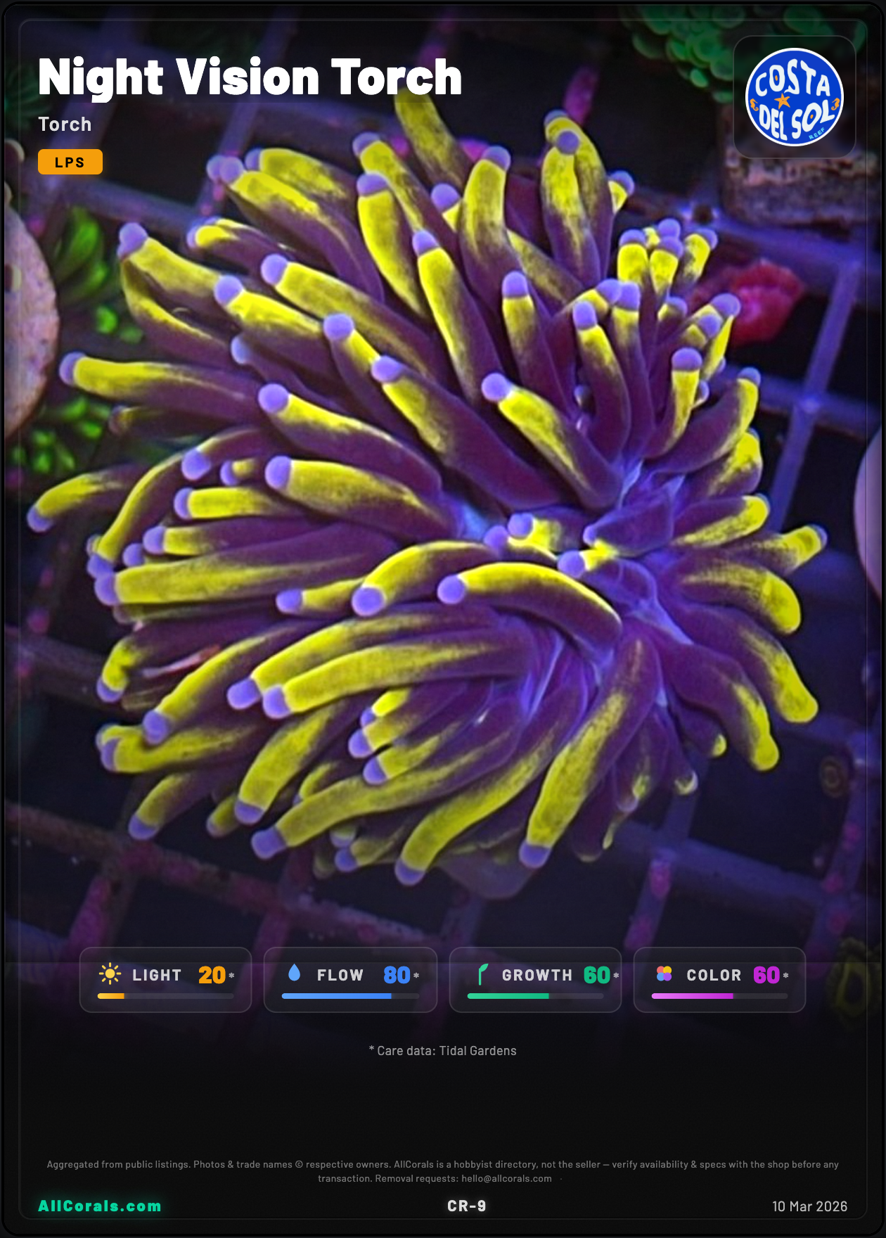 Night Vision Torch trading card