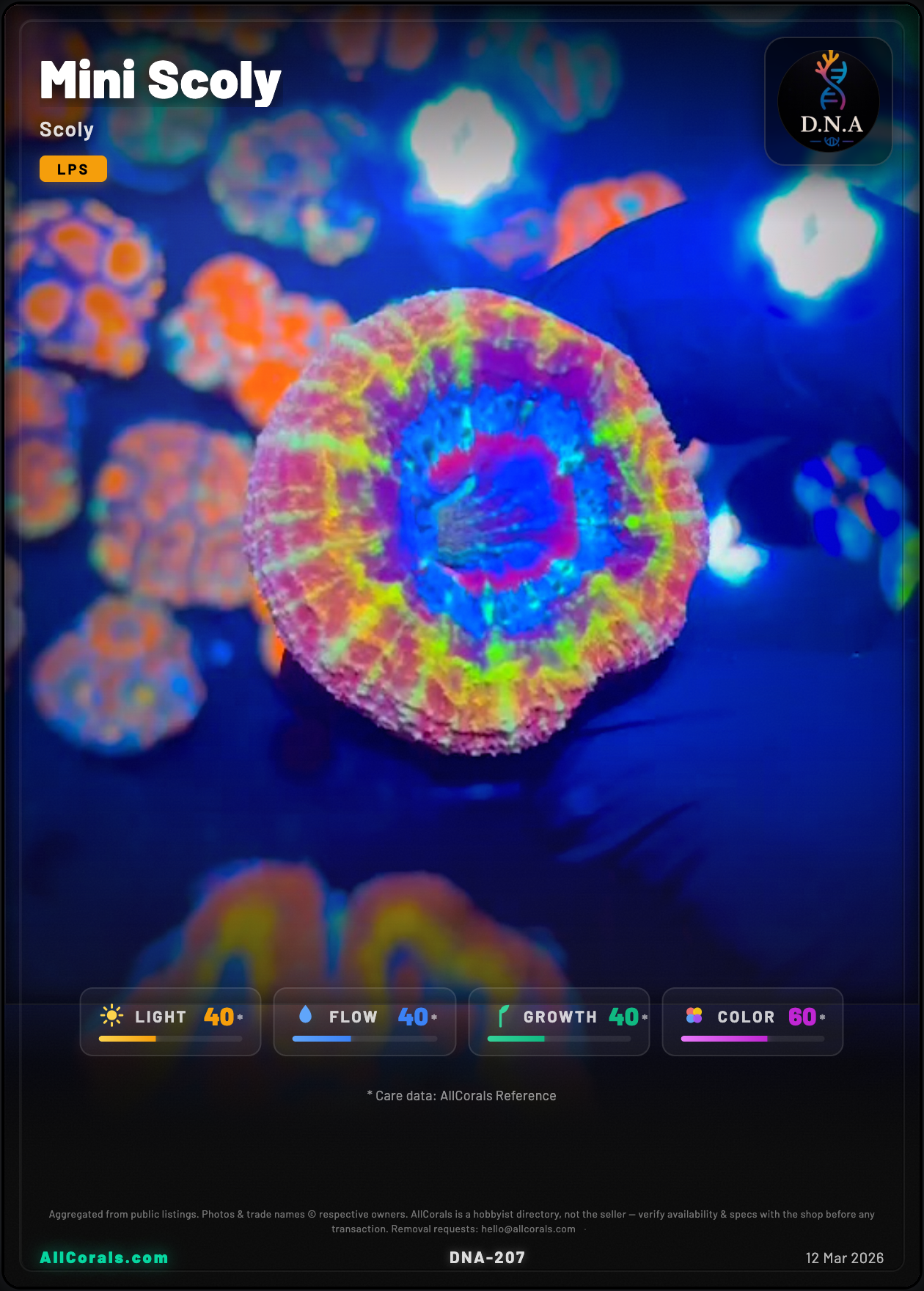 Homophyllia (Mini Scoly) — Rainbow trading card