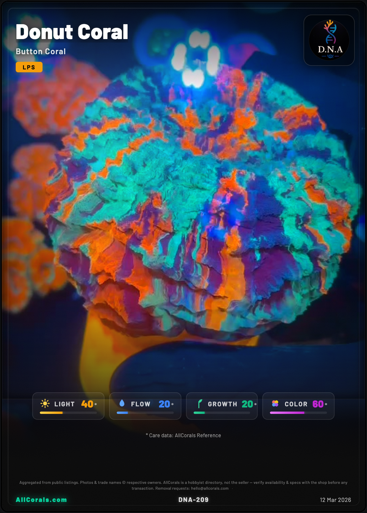 Cynarina (Donut Coral) — Rainbow trading card
