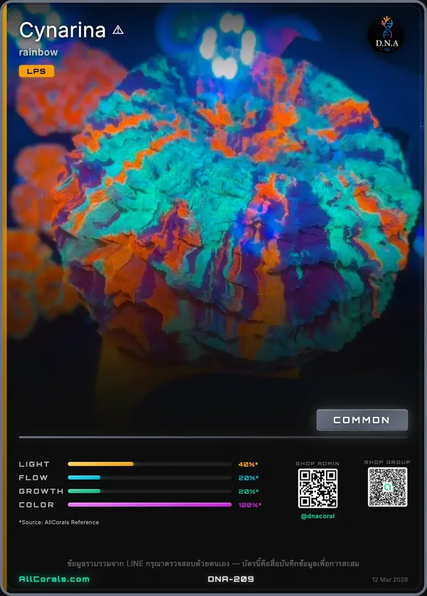 Cynarina (Donut Coral) — Rainbow trading card