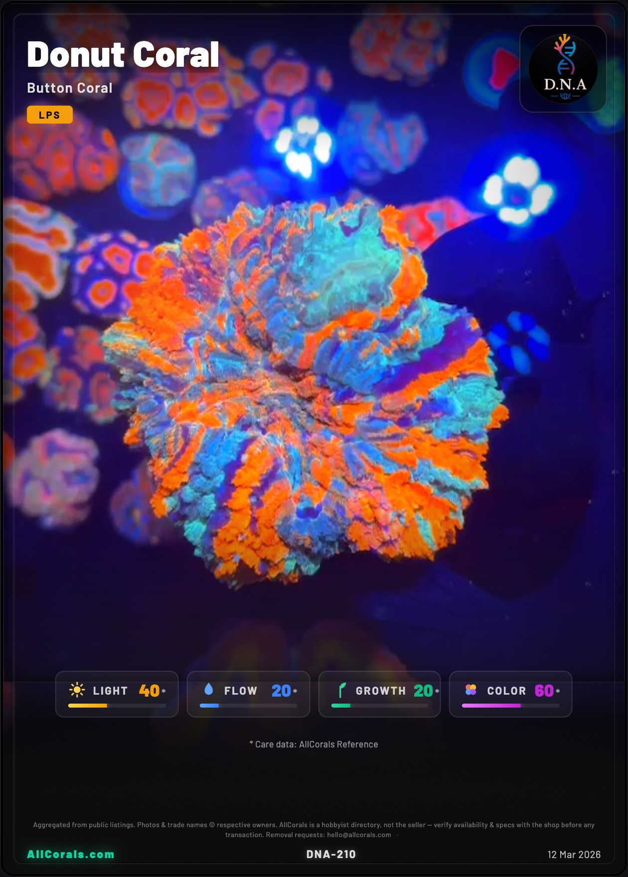 Cynarina (Donut Coral) — Rainbow trading card