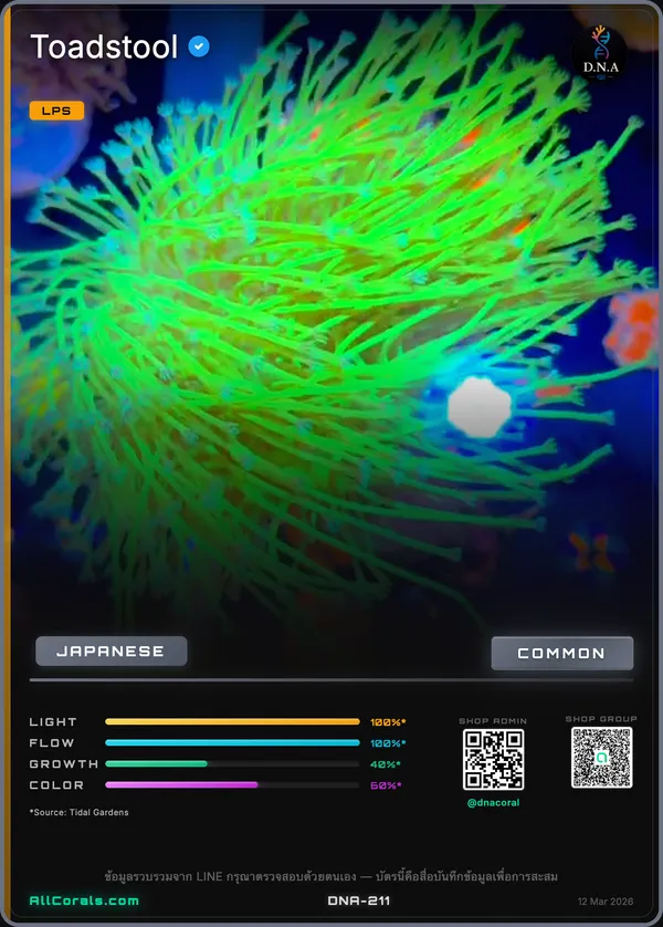 Sarcophyton