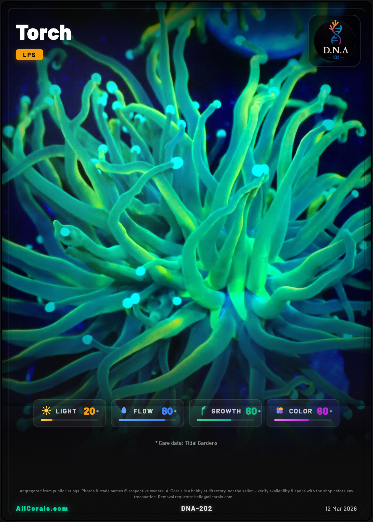 Euphyllia (Torch) — Holy Grail trading card