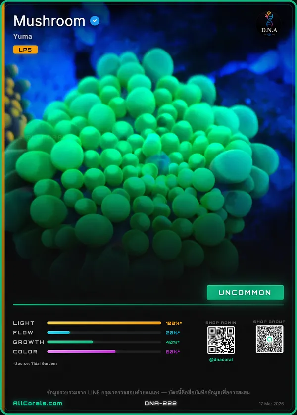 Discosoma
