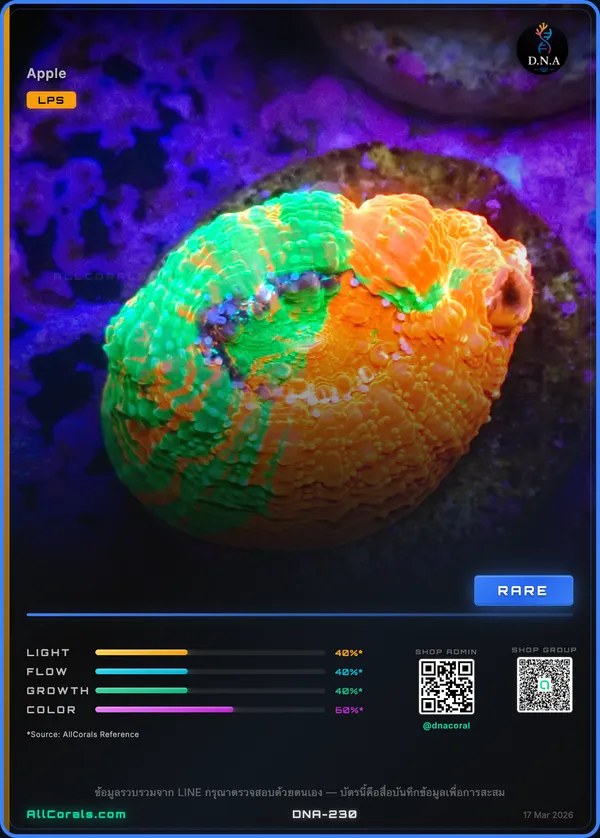 Homophyllia