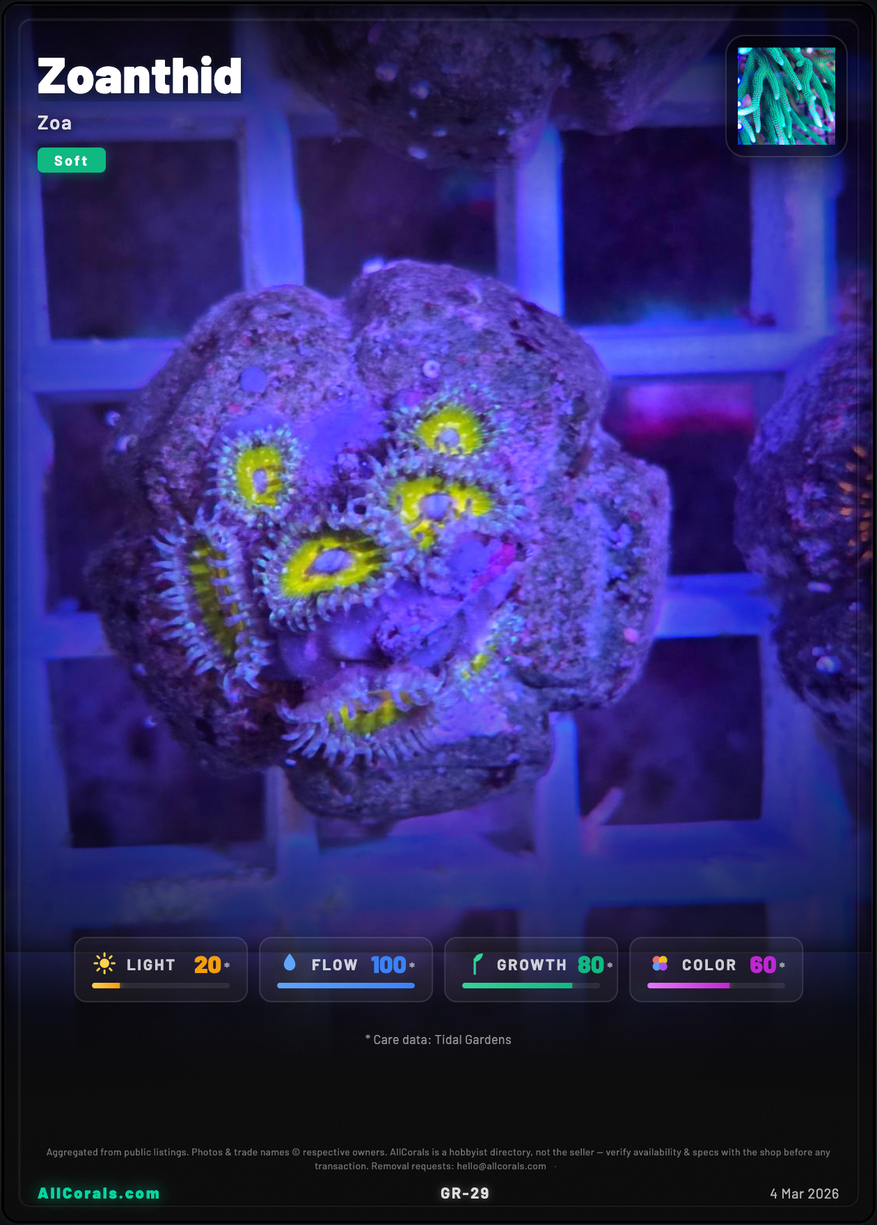 Zoanthus (Zoanthid) trading card