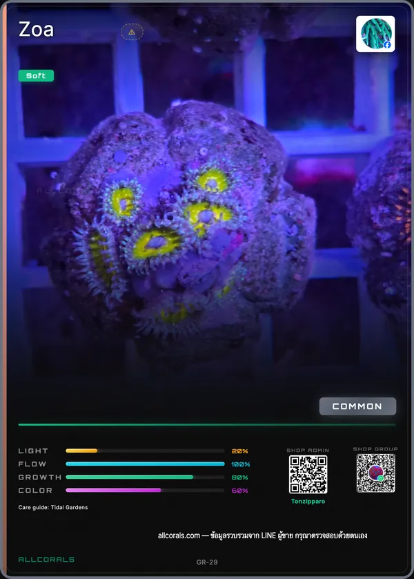 Zoanthus (Zoanthid) trading card