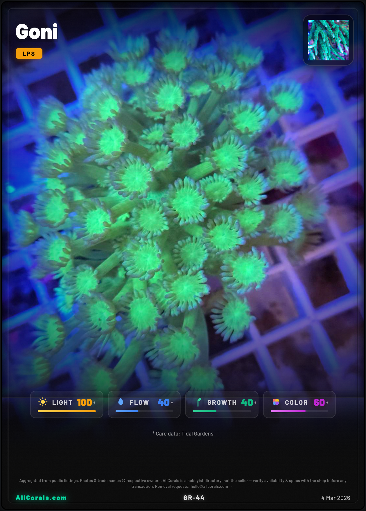 Goniopora (Goniopora) trading card