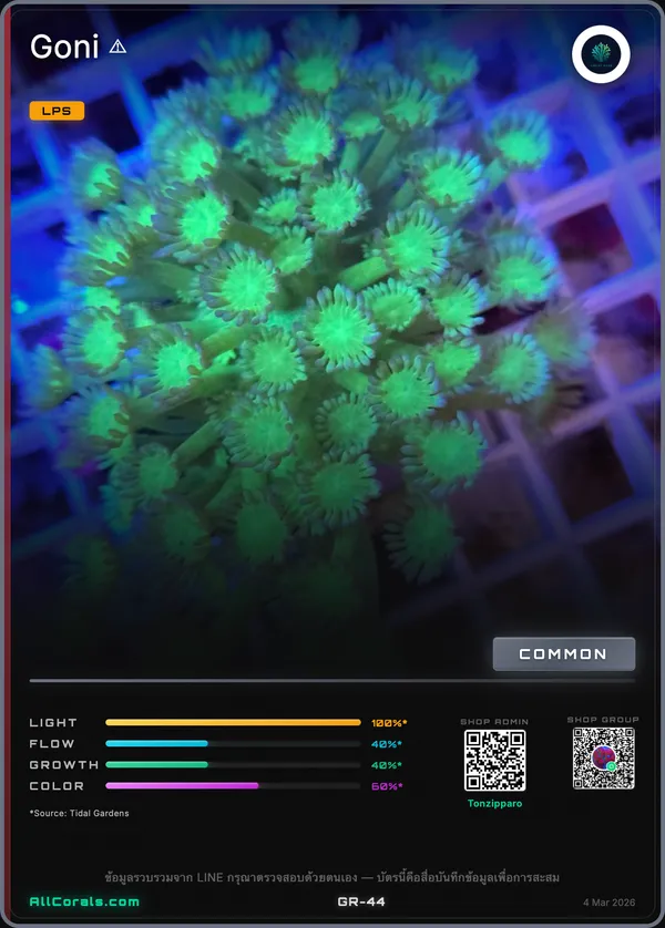 Goniopora (Goniopora) trading card