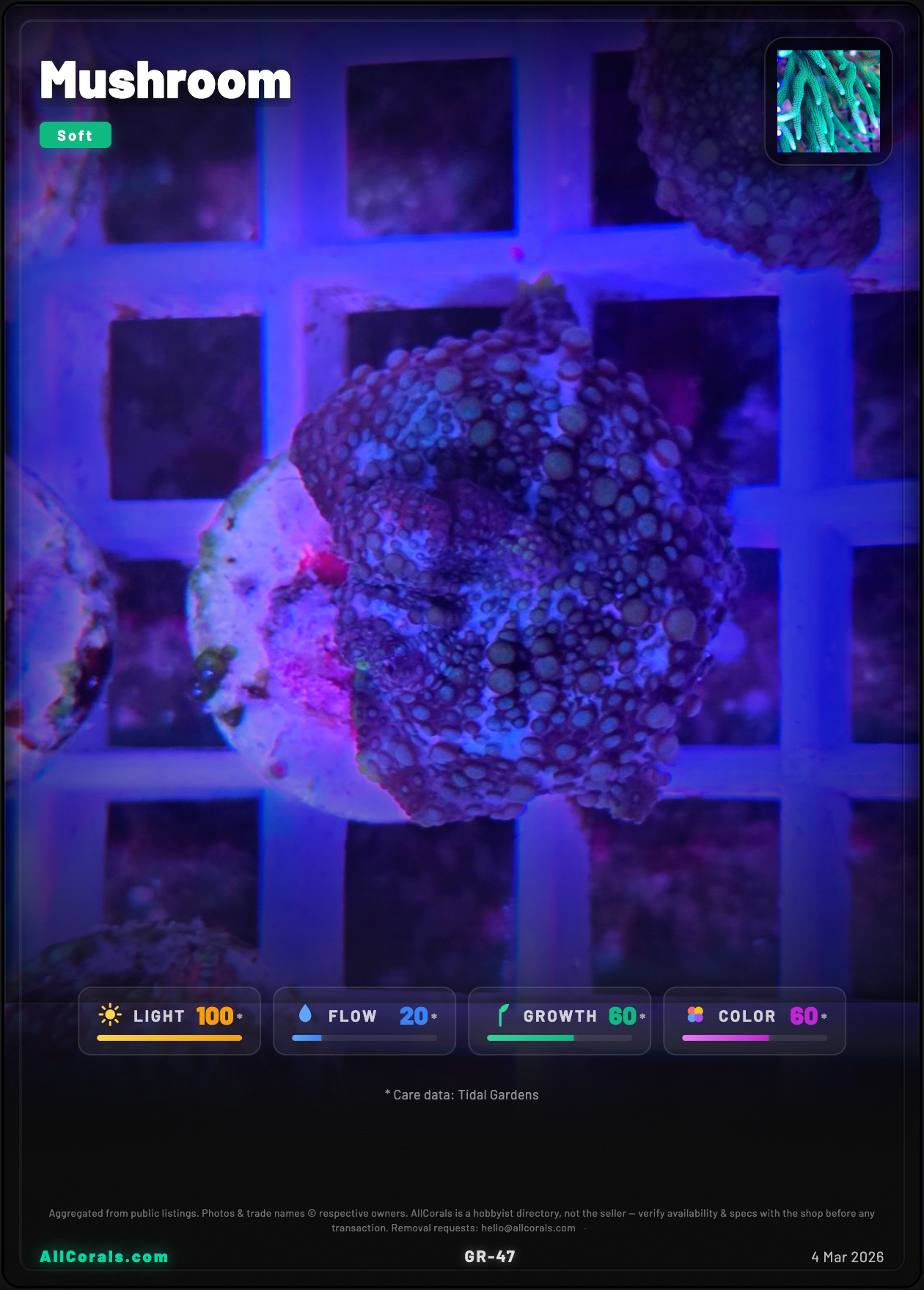 Discosoma (Mushroom) trading card