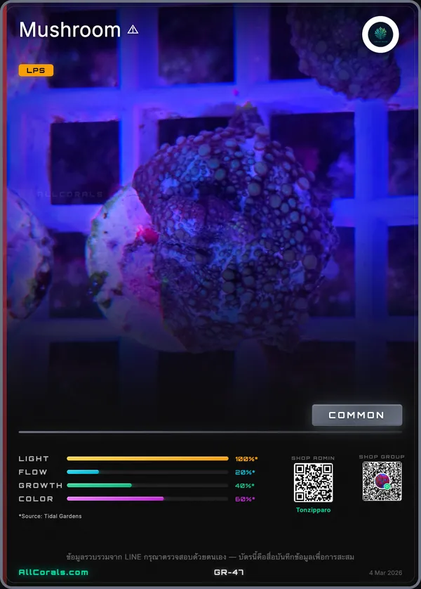 Discosoma (Mushroom)
