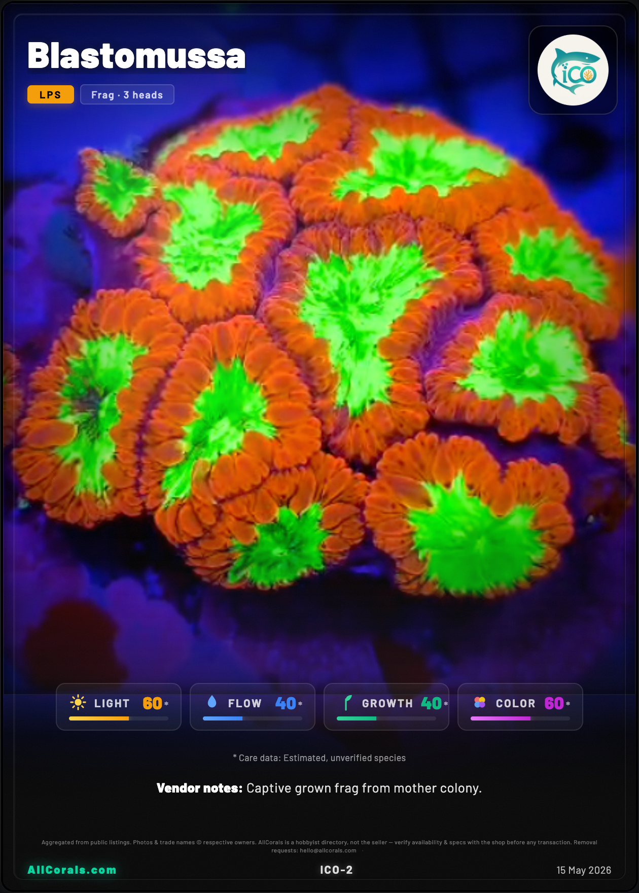 Blastomussa trading card