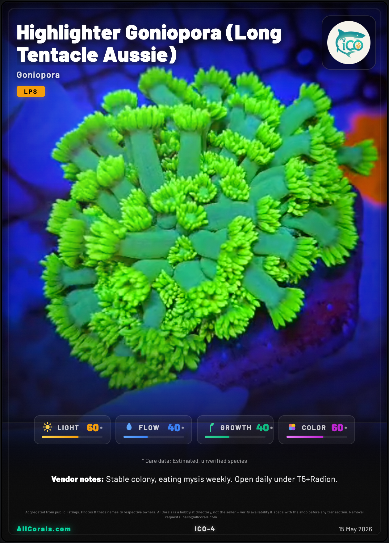 Highlighter Goniopora trading card
