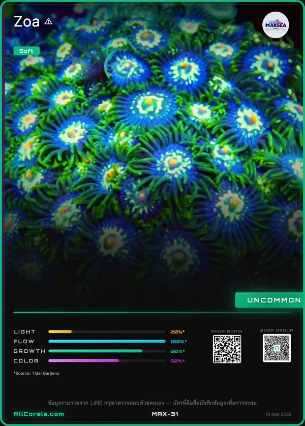 WWC Mandarin Monster Zoanthids trading card