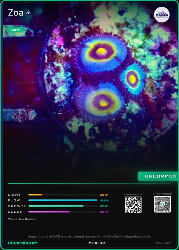 Miami Vice Zoanthids Coral trading card