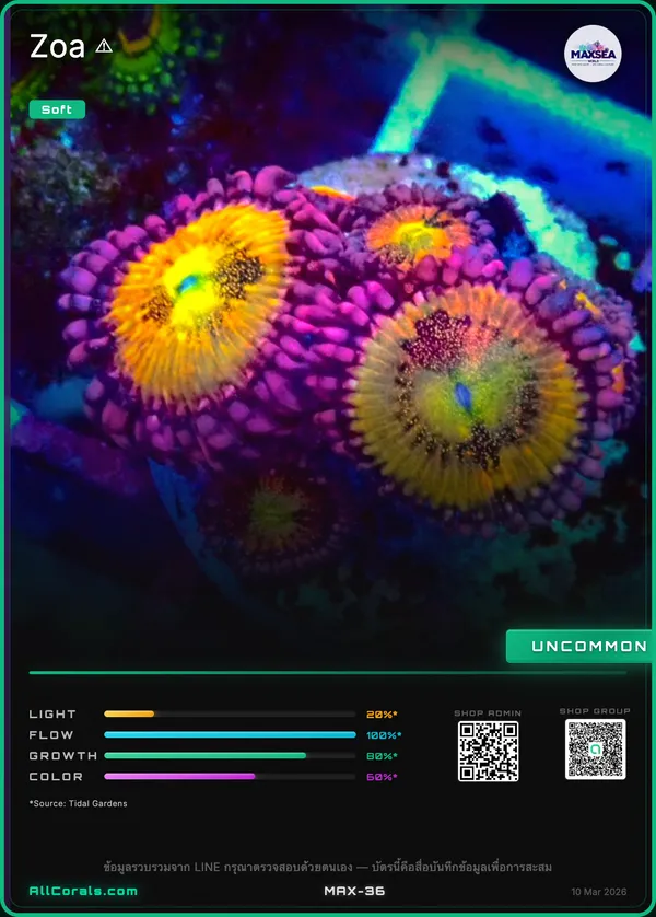 Jason Fox Acid Reflux Zoanthids trading card