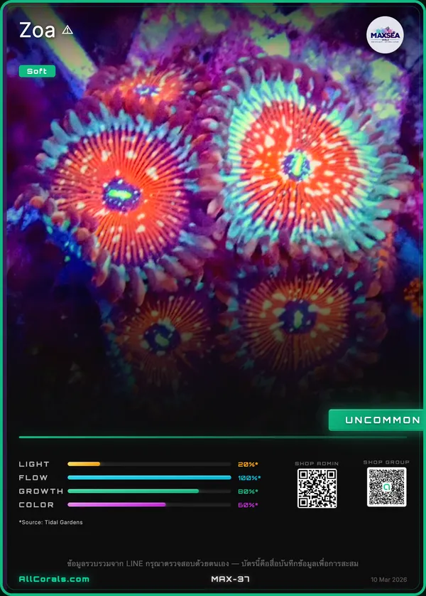 RR Pink Diamond Zoanthids trading card