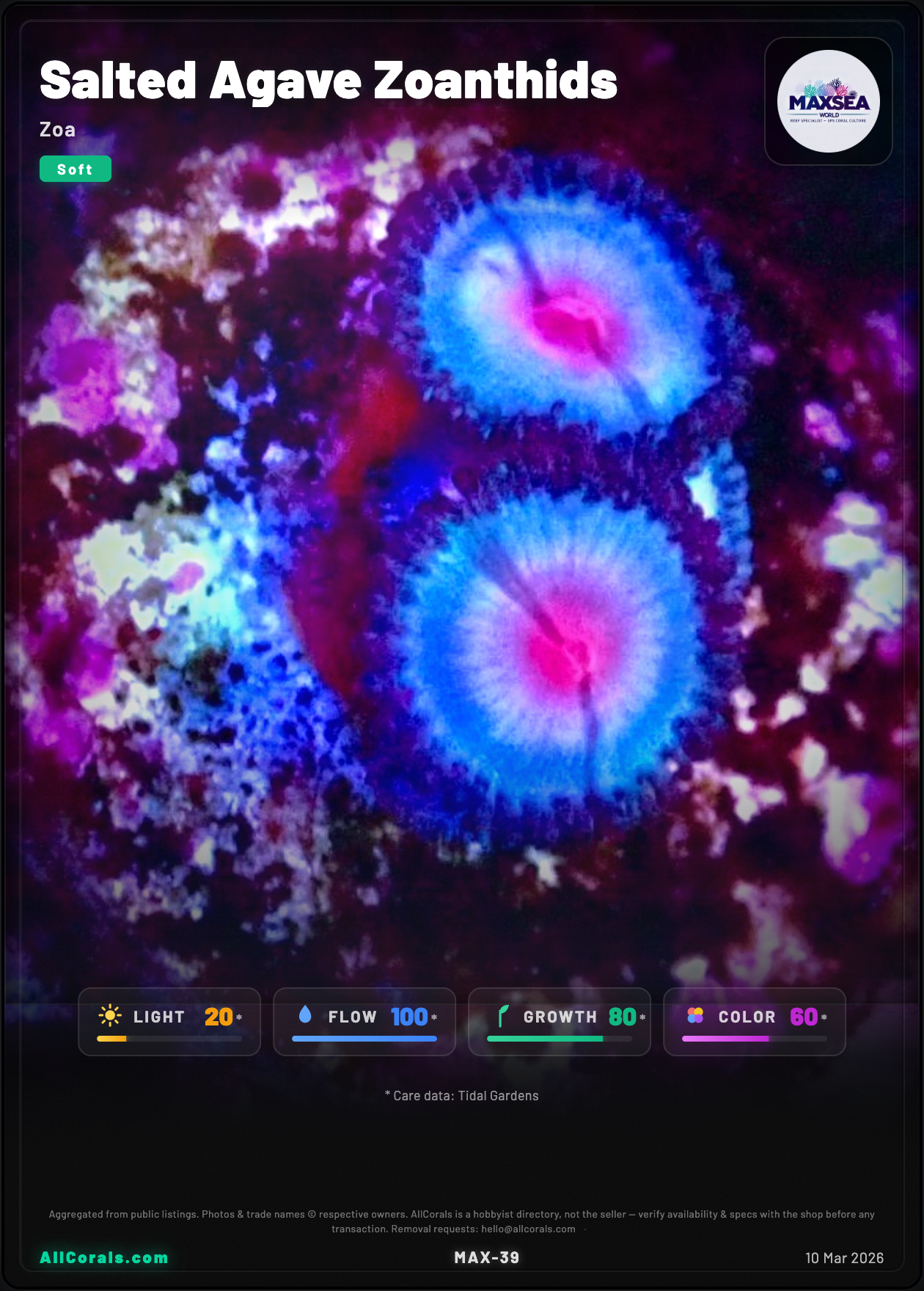 Salted Agave Zoanthids trading card
