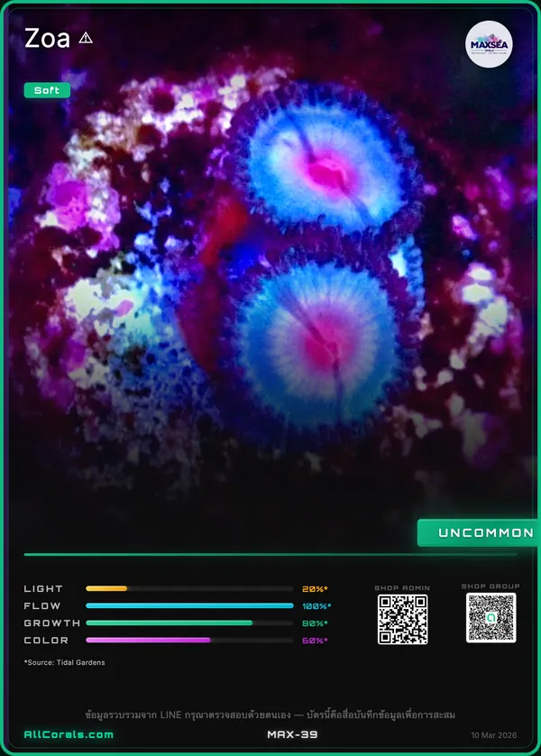 Salted Agave Zoanthids trading card