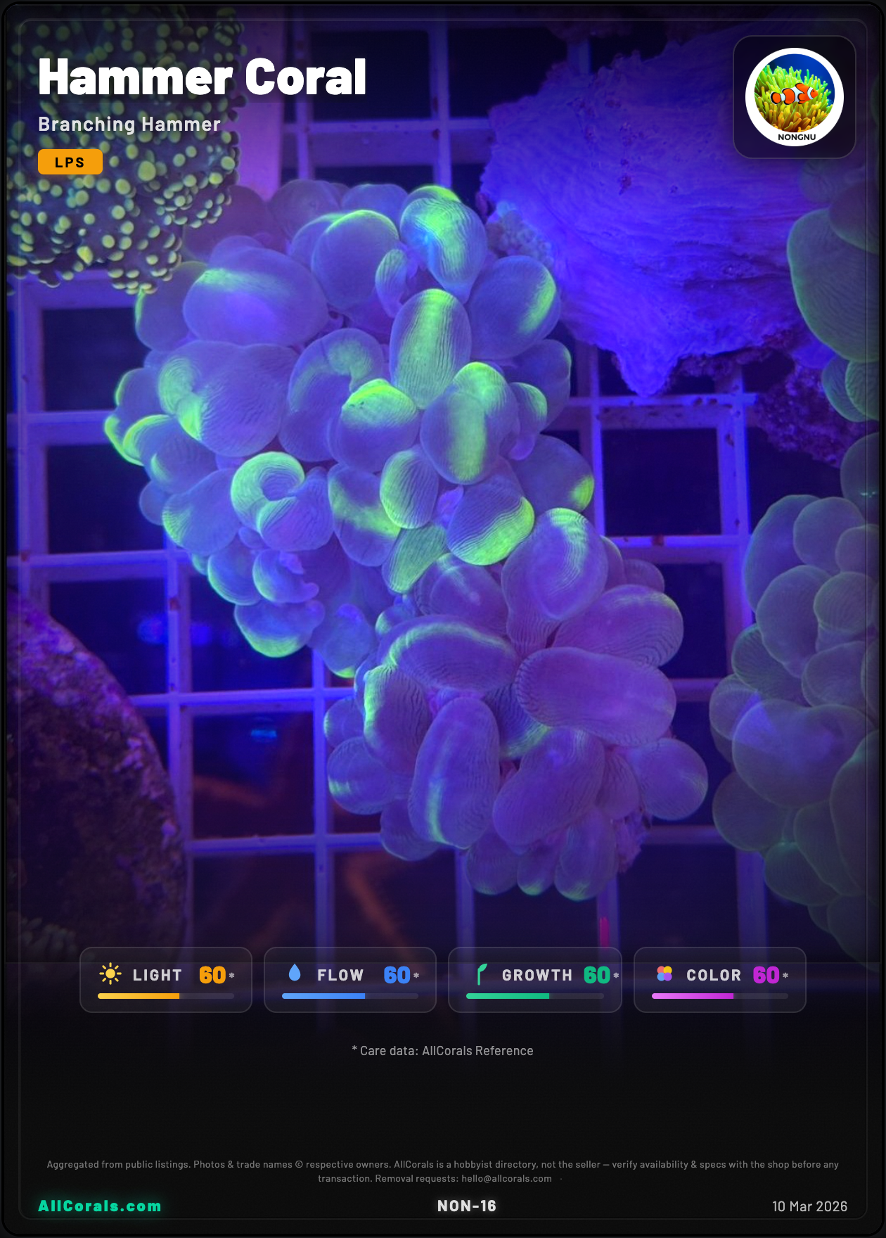 Hammer Coral trading card