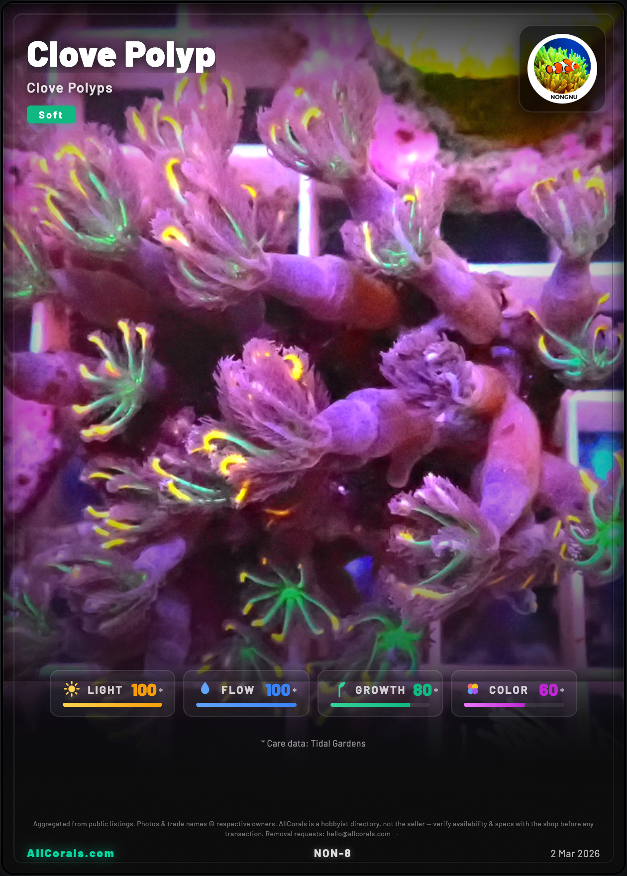 Clavularia (Clove Polyp) trading card