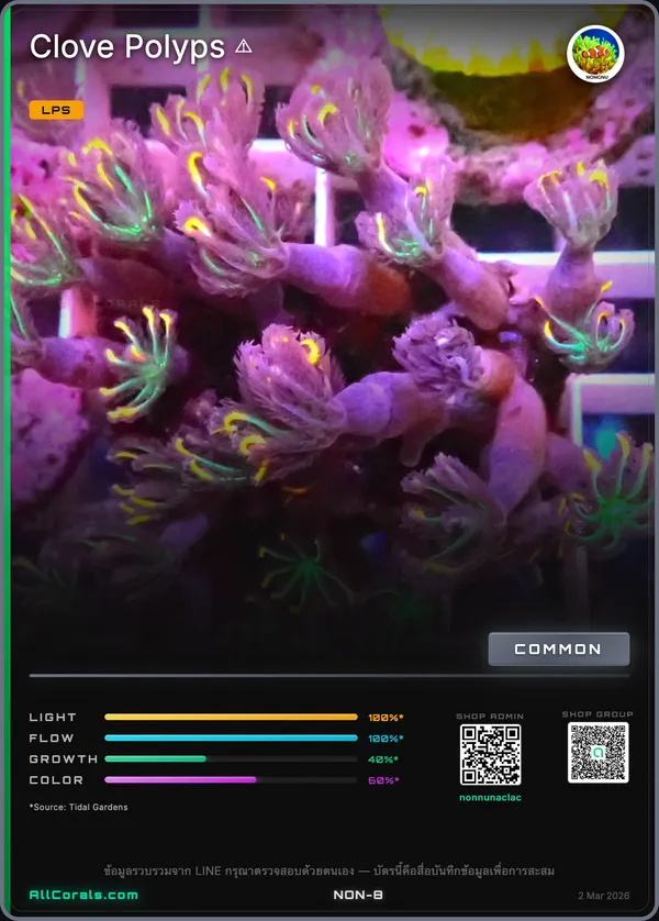 Clavularia (Clove Polyp) trading card