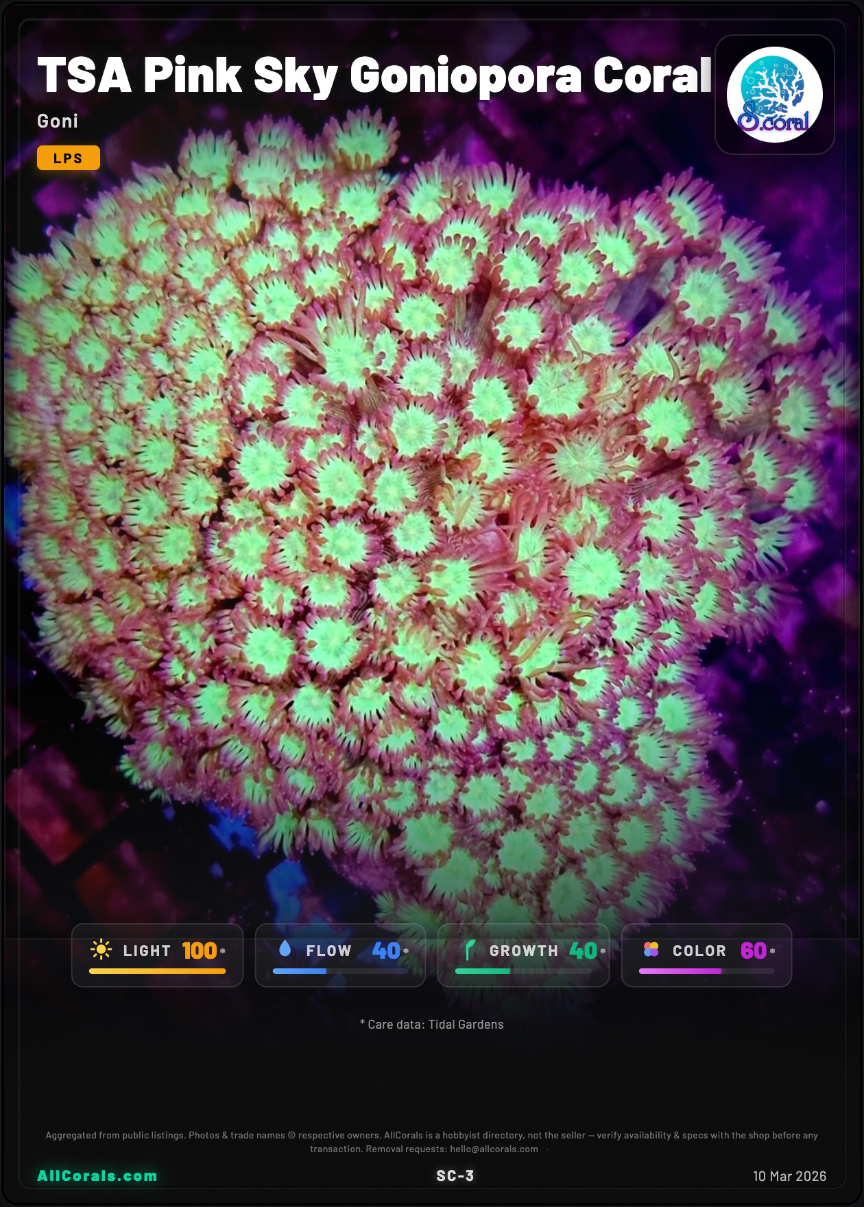 TSA Pink Sky Goniopora Coral trading card