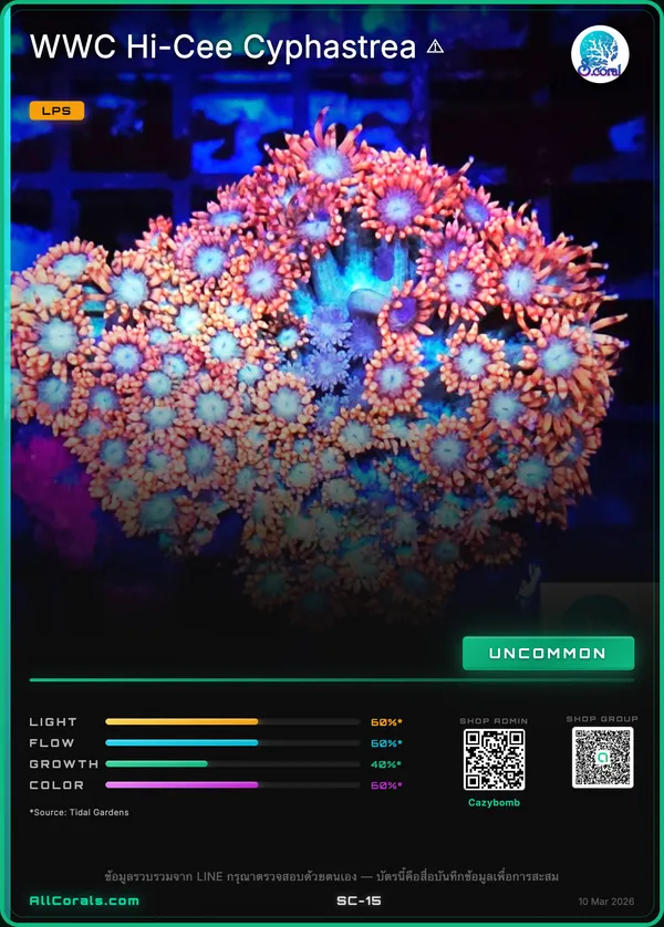 WWC Hi-Cee Cyphastrea trading card