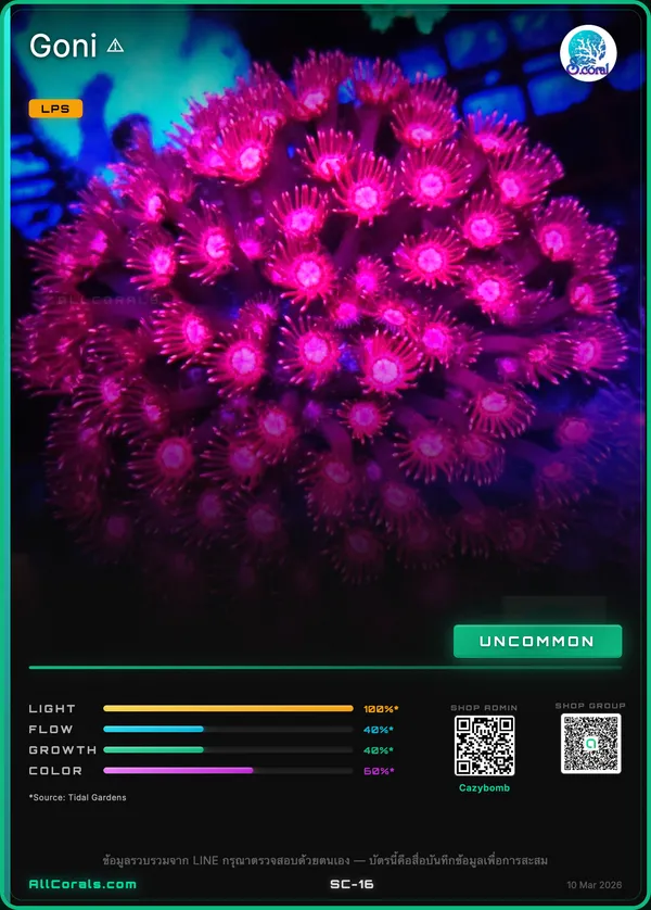 WWC Cherry Red Goniopora trading card