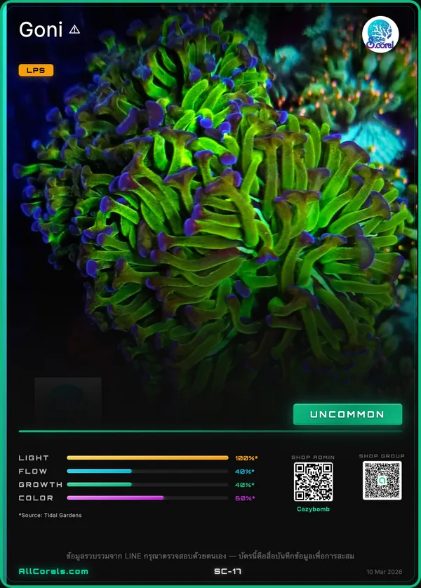 WWC Hail Hydra Goniopora trading card