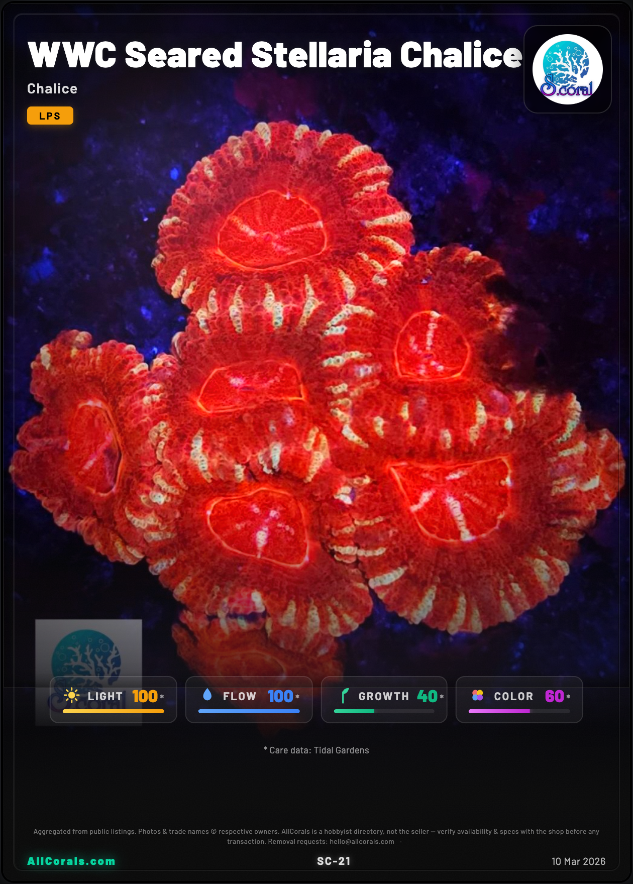 WWC Seared Stellaria Chalice trading card