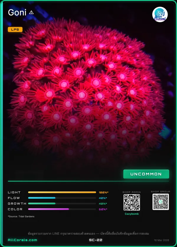 WWC Cherry Red Goniopora trading card