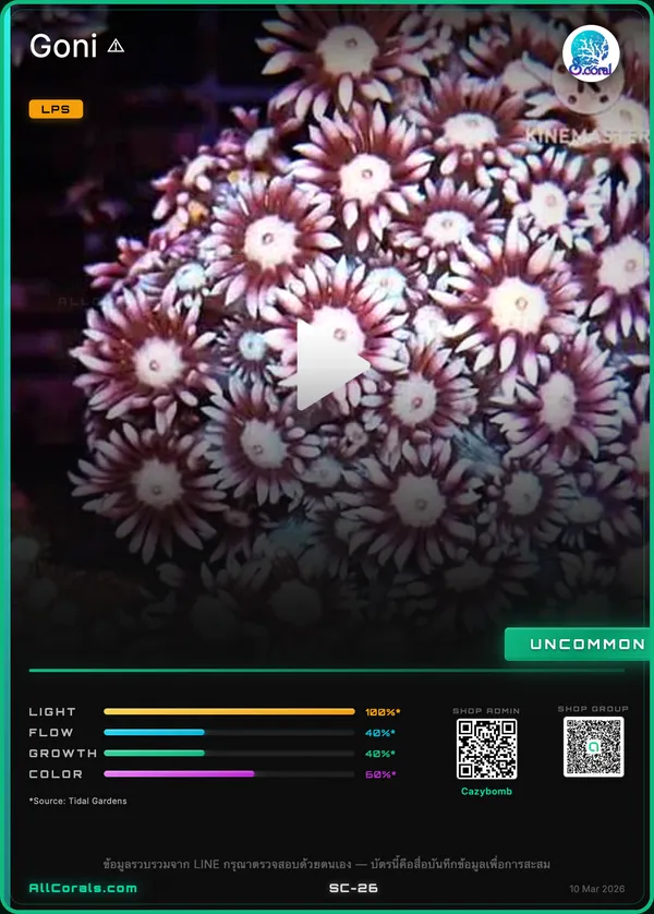 TSA Strawberry Kiwi Goniopora Coral trading card