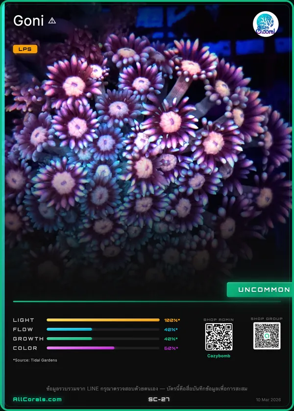 WWC Bay Watch Goniopora trading card