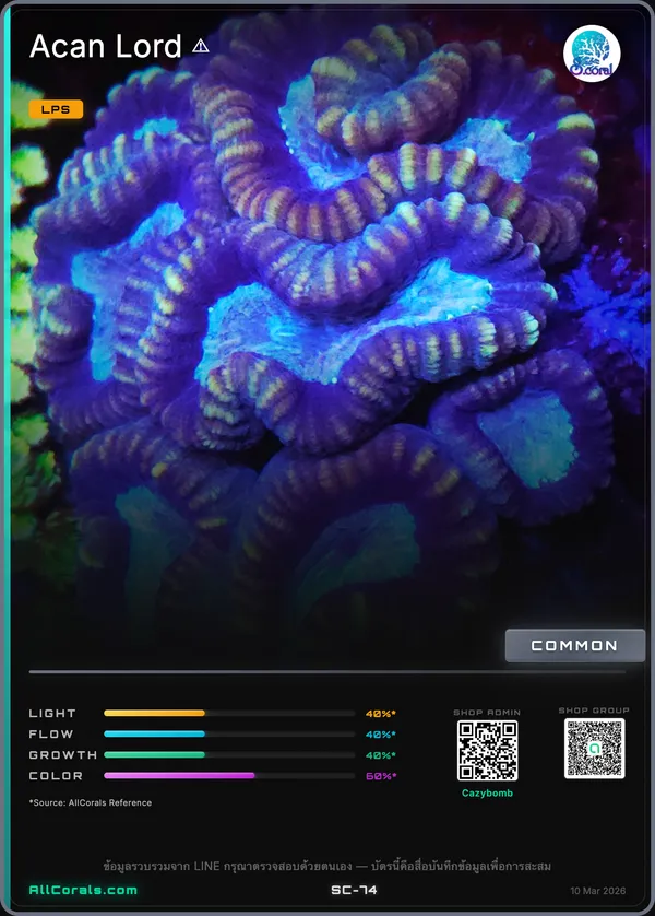 Micromussa