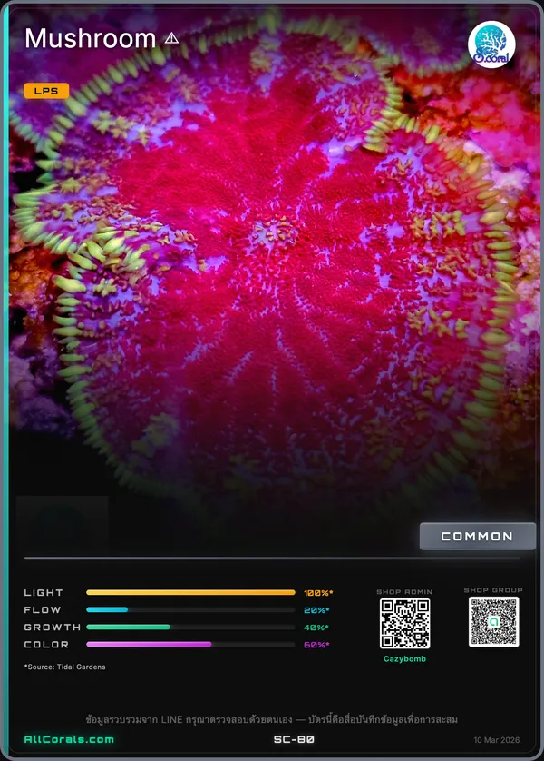 Discosoma