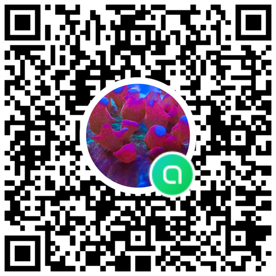 Open Chat QR