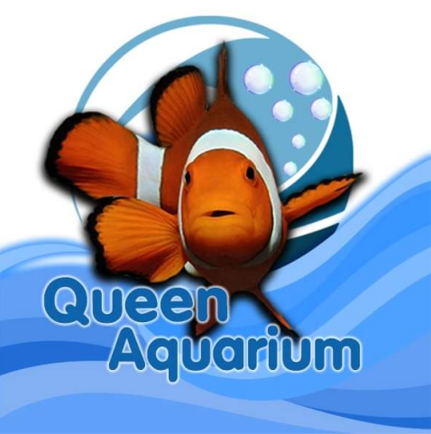 Queen Aquarium